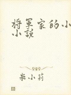 将军家的小娇妻小说封面