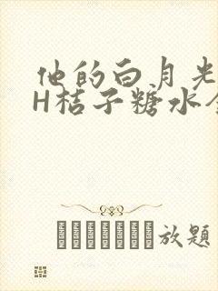 他的白月光HVH桔子糖水全文