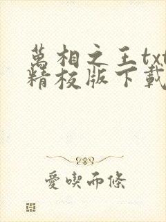 万相之王txt精校版下载