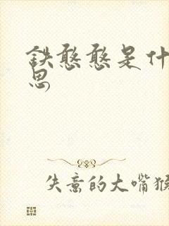 铁憨憨是什么意思