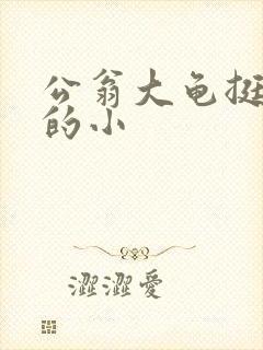 公翁大龟挺进我的小