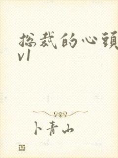 总裁的心头宝1v1