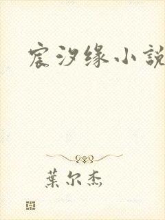 宸汐缘小说封面