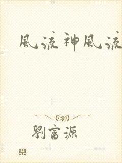风流神风流记封面