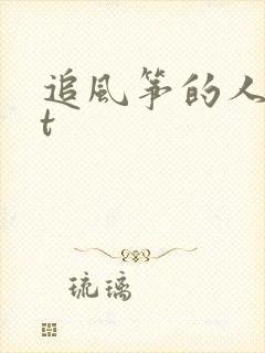 追风筝的人txt封面