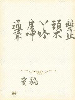 通房丫头双乳高耸呻吟不止小说封面