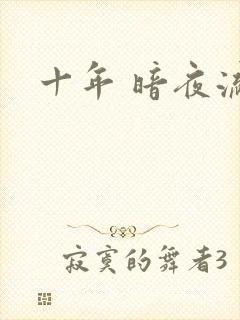 十年 暗夜流光