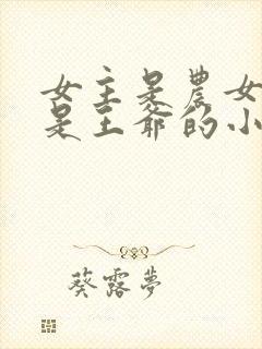 女主是农女男主是王爷的小说封面