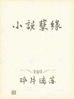 小说孽缘