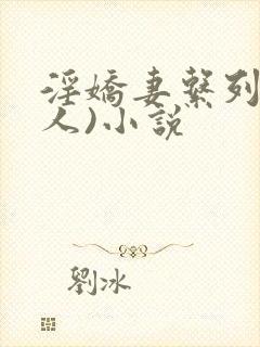 淫娇妻系列(多人)小说封面