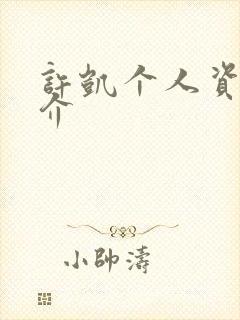 许凯个人资料简介