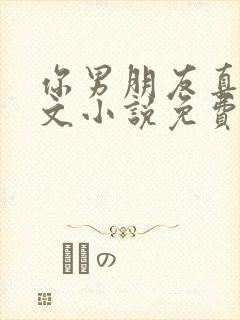 你男朋友真大全文小说免费阅读无弹窗笔趣阁