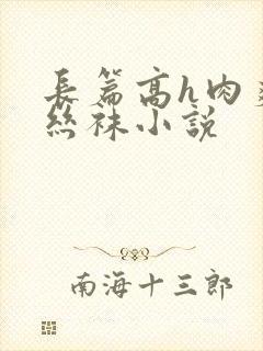 长篇高h肉爽文丝袜小说