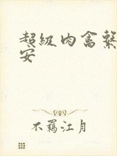 超级肉禽系统保安封面