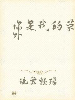 你是我的荣耀番外