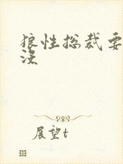 狼性总裁要够了没