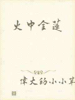 火中金莲封面