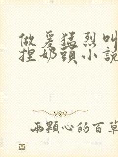 做爰猛烈叫床揉捏奶头小说封面