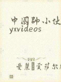 中国帅小伙gayxvideos