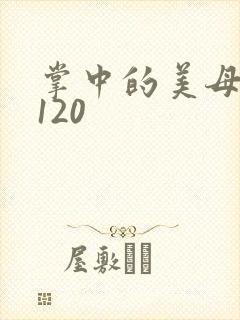 掌中的美母版主120