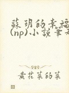 苏玥的幸福生活(np)小说笔趣阁