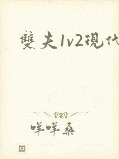 双夫1v2现代