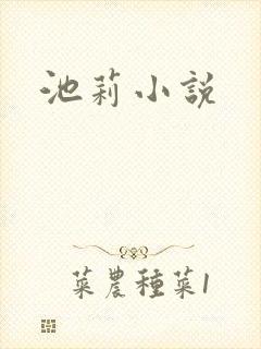 池莉小说