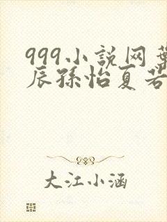 999小说网叶辰孙怡夏若雪