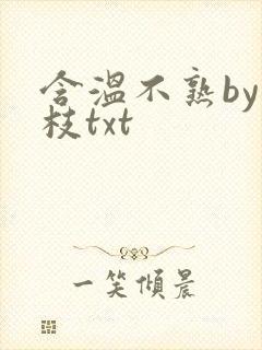 含温不熟by词枝txt