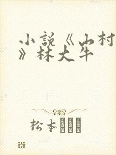 小说《山村情事》林大牛