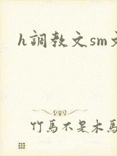 h调教文sm文