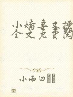 小娇妻又撩又甜全文免费阅读