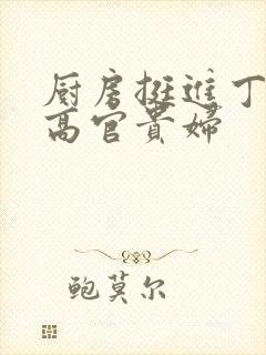 厨房挺进丁字裤高官贵妇