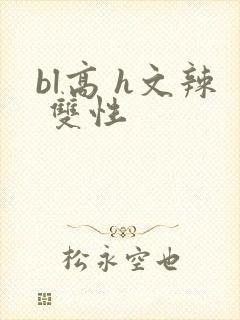 bl高 h文辣 双性封面