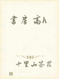 书房 高h