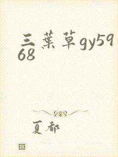 三叶草gy5968封面