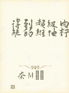 得到超级肉禽系统的维他柠檬茶