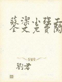 苏洁小强工地情全文免费阅读封面