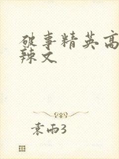 破事精英高h肉辣文