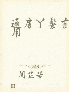 通房丫鬟有什么用封面