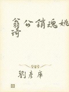 翁公销魂姚瑶琦琦封面