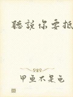 听说你要抵抗我