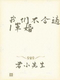 我们不合适1v1军婚