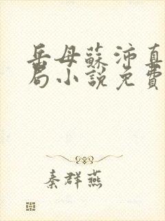 岳母苏沛真大结局小说免费阅读全文无弹窗