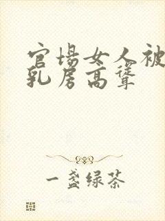 官场女人被潜,乳房高耸