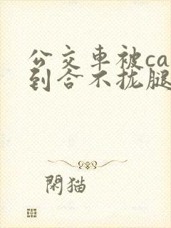 公交车被cao到合不拢腿视频