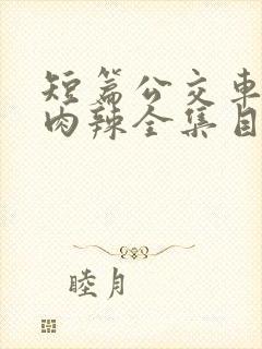 短篇公交车高h肉辣全集目录