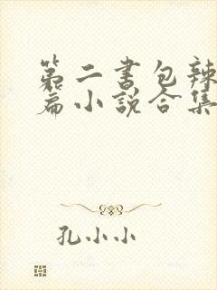 第二书包辣网短篇小说合集