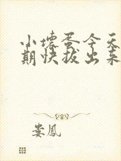 小坏蛋今天危险期快拔出来