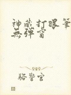 神藏打眼笔趣阁无弹窗封面